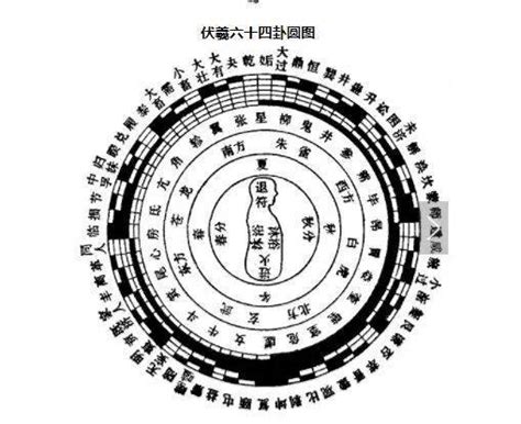 卦數|看懂先天八卦和六十四卦圖（又稱伏羲八卦及六十四。